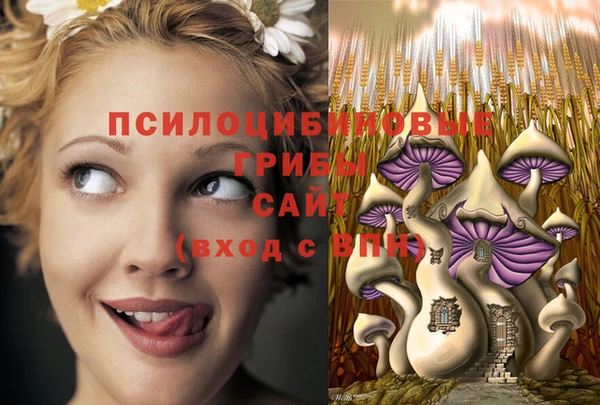 каннабис Абаза