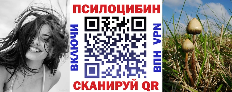 ОМГ ОМГ   закладка  Балаково  Псилоцибиновые грибы GOLDEN TEACHER 