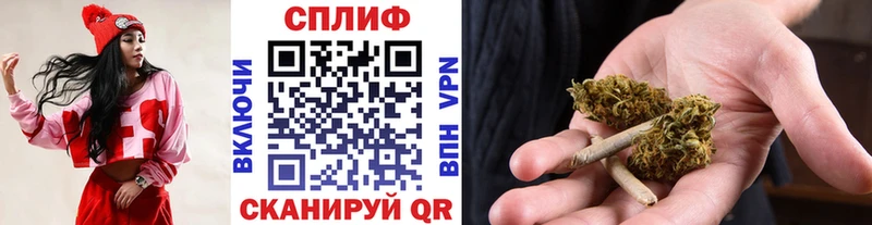купить   Балаково  Марихуана конопля 